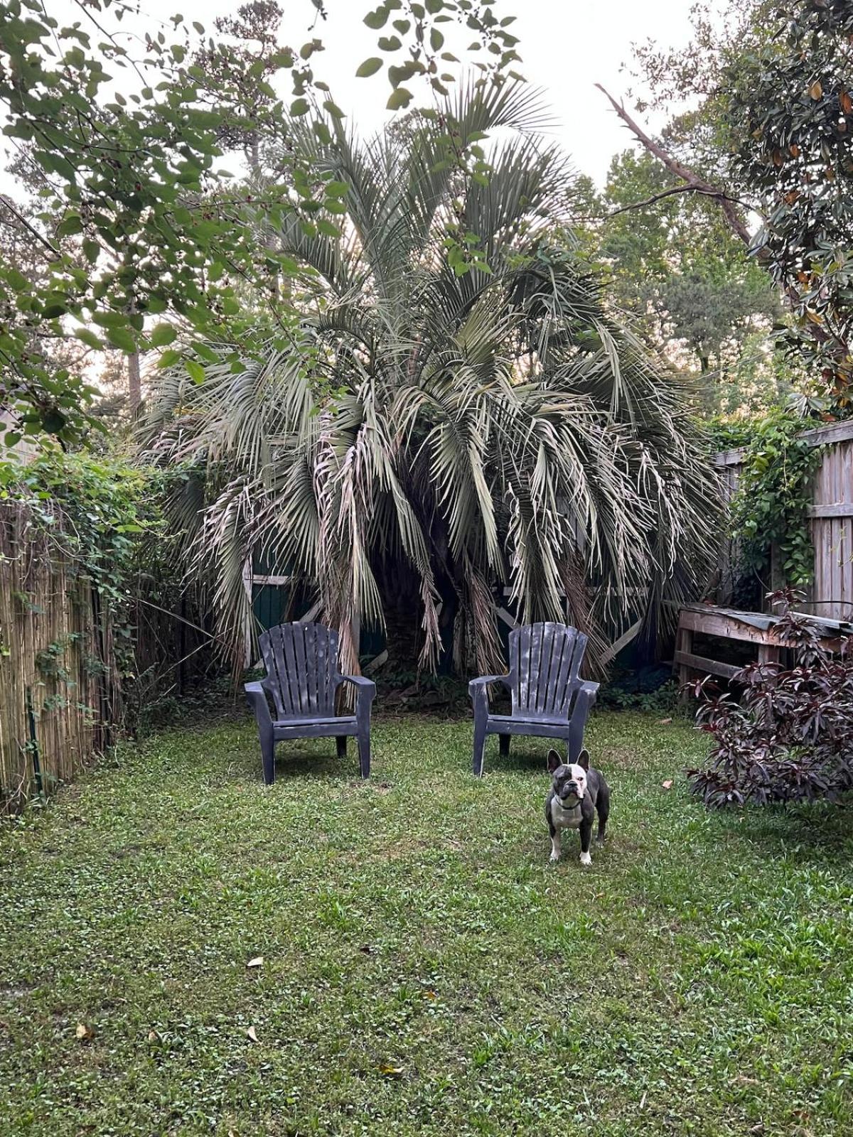 The Casita Serenely Welcomes Guests All Year Round Ουίλμινγκτον Εξωτερικό φωτογραφία